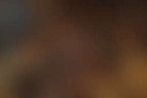 Фотография квеста Коллекционер загадок от компании QuestQuest (Фото 1)