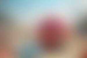 Фотография квиза Вау квиз от компании Вау квиз (Фото 1)